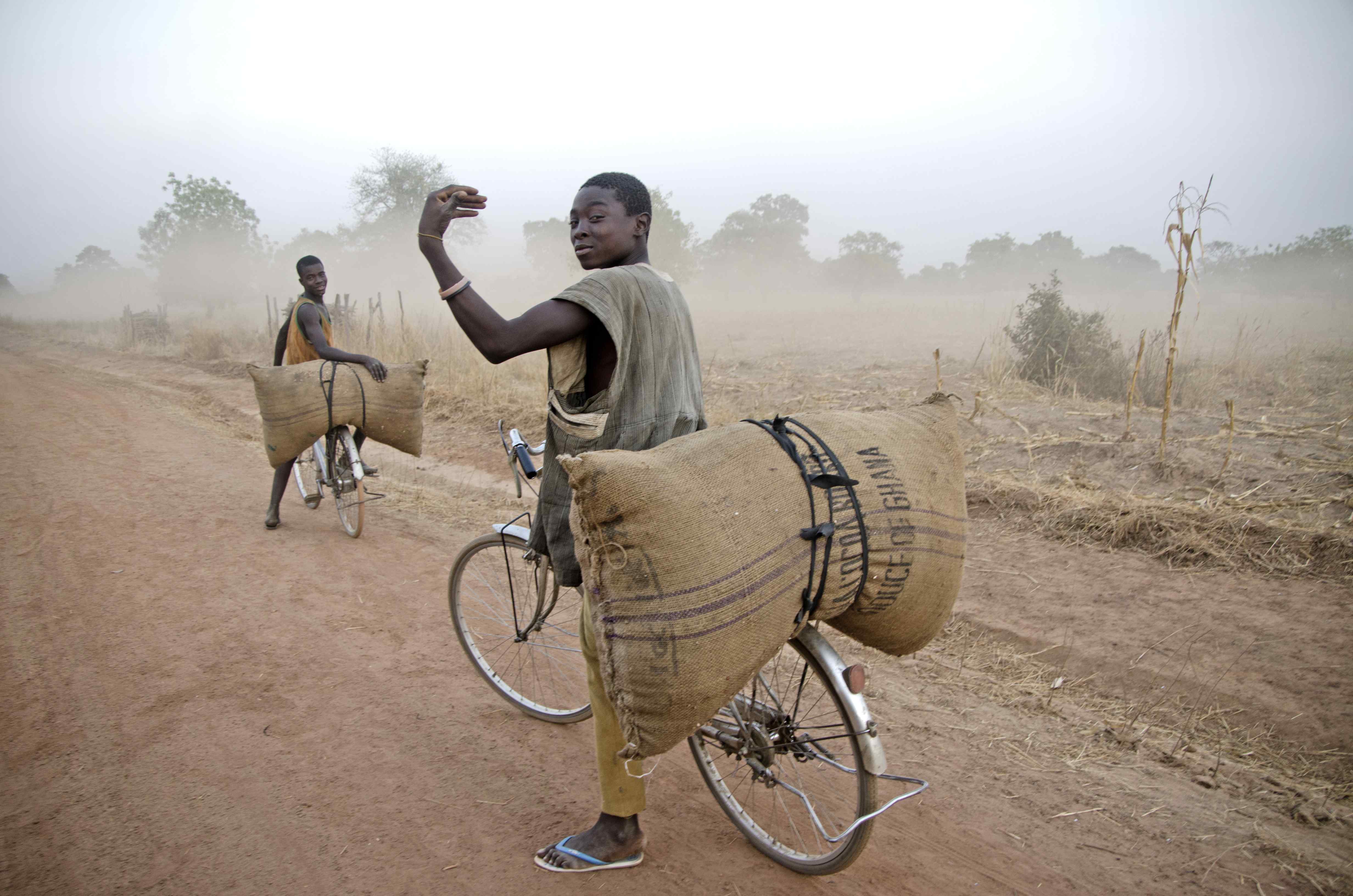 Young men in Kparigu taking the family crop to sell in the market
